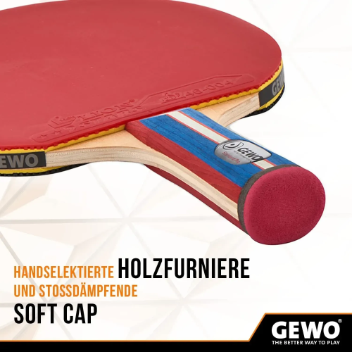 Ракетка для настольного тенниса  Gewo Standard Pro FL (600300001) - фото №2